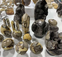 Fossil Septarian
