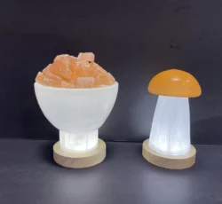 Lighted Bowl And Mushroom