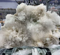 Sp Scolecite